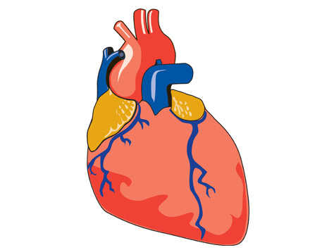 Coronary heart disease - Dr Richard Bogle PhD FRCP FESC FACC ...